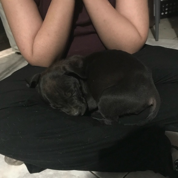 Meet your Posher, Chauntelle - Picture 11 of 11